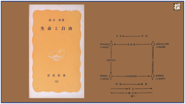 第1話 渡辺慧『生命と自由』を読み解く ❖ 理系書探訪【書評記事】
