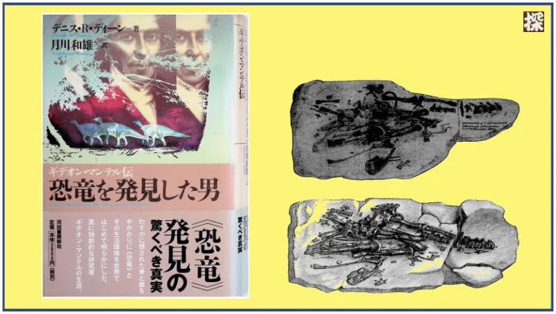第19話　ディーン『恐竜を発見した男： ギデオン・マンテル伝』を読み解く ❖ 理系書探訪【書評記事】
